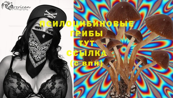 прущий лед Алексеевка