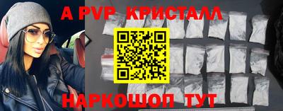 гашик Сланцы