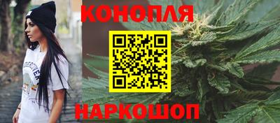гашик Сланцы