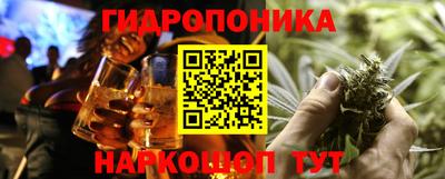 гашик Сланцы