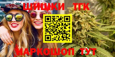 гашик Сланцы