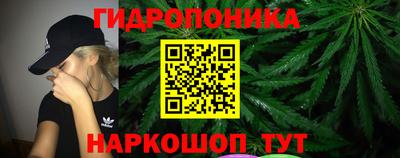 гашик Сланцы