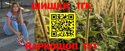 гашик Сланцы
