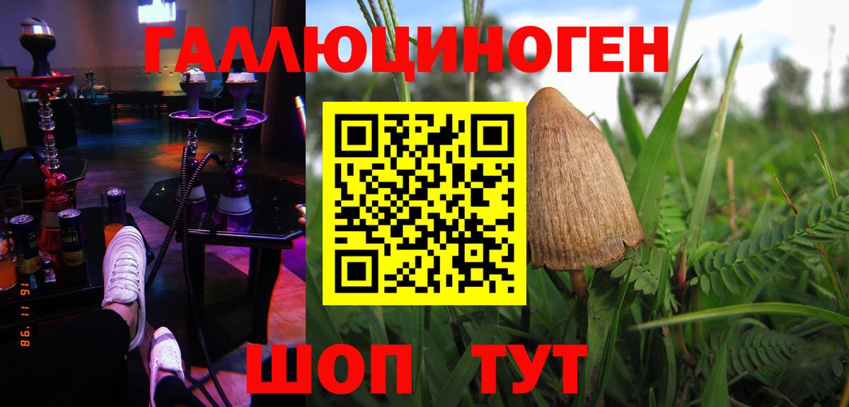 Псилоцибиновые грибы Psilocybine cubensis Чапаевск